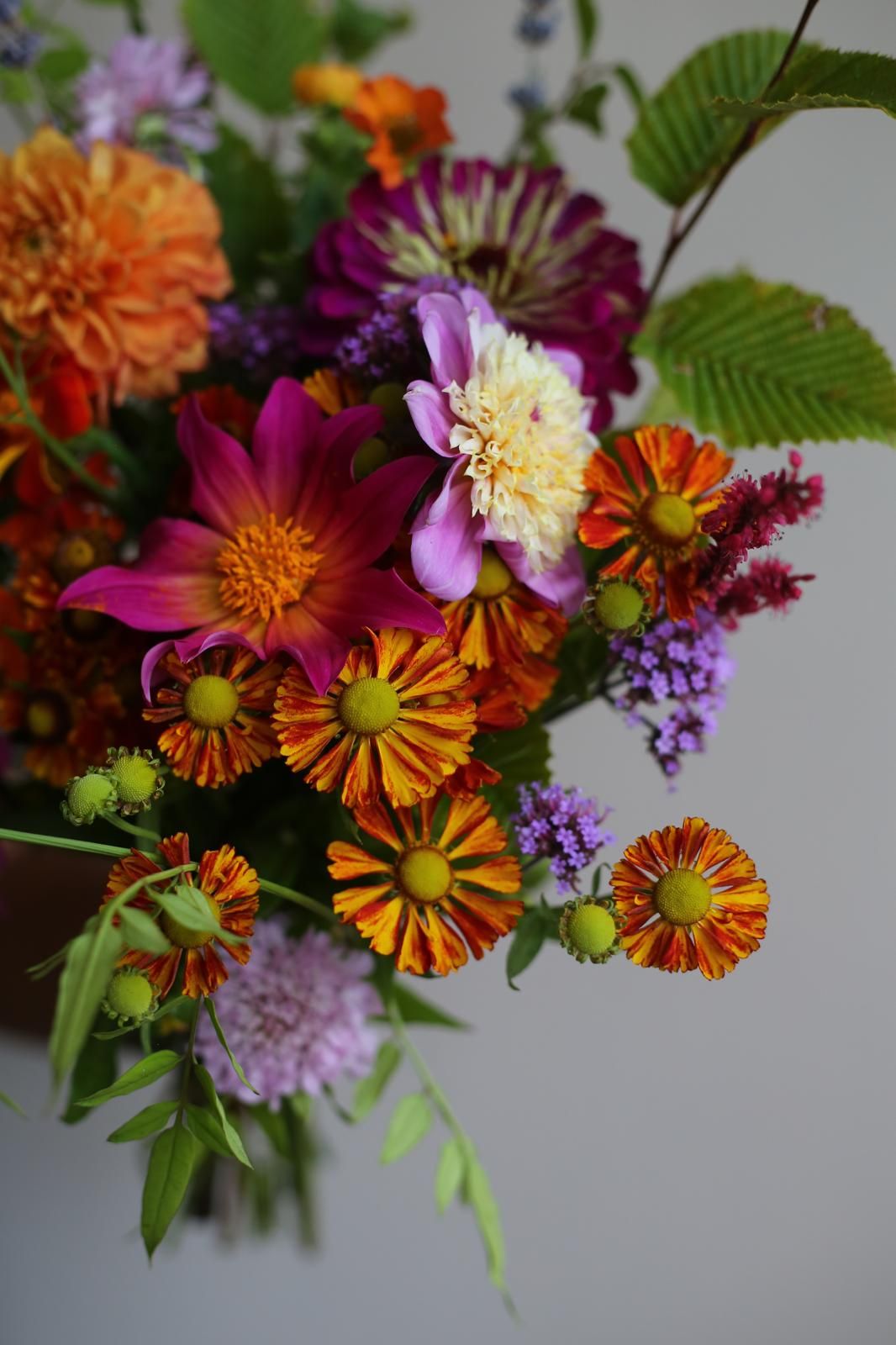 A late-summer bouquet of heleniums, dahlias, zinnias, scabious and verbena